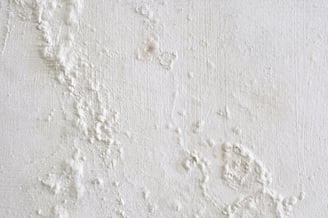 AdobeStock_357095657