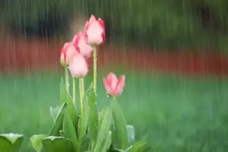 spring inspection for leaks