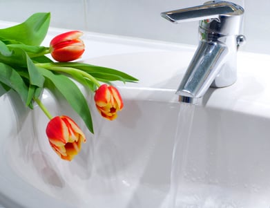 spring plumbing maintenance tips